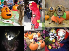 Scenes from Halloween-themed events across Windsor-Essex. Clockwise from top left: Optimist Club of Riverside Pumpkin Party; In Honour of the Ones We Love Spooktacular; Pet Valu Riverside Halloween costume party; Colasanti's Tropical Gardens Haunted Greenhouse; Thiessen Orchards Haunted Barn; Scarehouse Windsor.