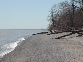 A beach on the east side of Point Pelee National Park is pictured in this file photo.