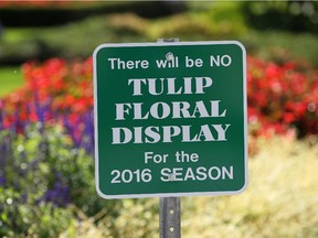 To stop the spread of fungus in the sunken gardens at Jackson Park in Windsor, tulips will not be planted in a large portion of the park in 2016.