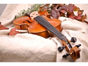 Photo of violin and autumn leaves by fotolia.com.