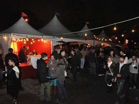 A scene from the Windsor Craft Beer Festival of October 2014.