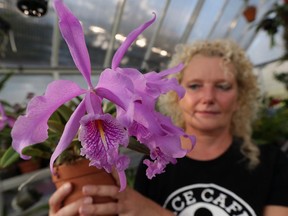 Deborah Boersma proudly displays her orchids in her greenhouse near Harrow. The Orchid Society will host its annual show October 24-25.