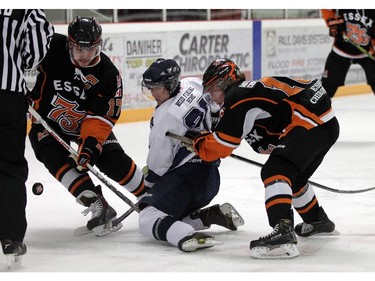 The Essex 73's Matthew Hebert and Tyler Scott (right) battle for the puck with the Wheatley Sharks Cole Butler at the Essex Centre Sports Complex in Essex on Tuesday, October 6, 2015.                                     (TYLER BROWNBRIDGE/The Windsor Star)