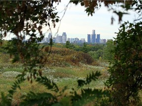 Malden Park is seen in Windsor on Tuesday, September 29, 2015. The city may spend $425,000 to install an underground gas barrier to prevent methane gas from migrating at the former dump.