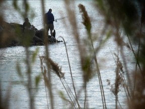 A fisherman is seen through a patch of tall grass along the Detroit River near Mill Street.