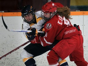 University of Windsor Lancers Larissa Borowiec tangles with York Lions Erin Locke during first period of OUA women's hockey from South Windsor Arena Friday November 13, 2015. (NICK BRANCACCIO/Windsor Star)