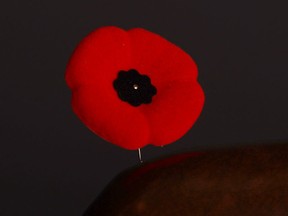 A poppy is seen in this file photo.