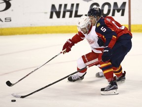 Detroit Red Wings' Riley Sheanan, left, and Belle River's Aaron Ekblad battle for the puck during the second period of an NHL hockey game in Sunrise, Fla., Tuesday, Jan. 27, 2015. (AP Photo/J Pat Carter)