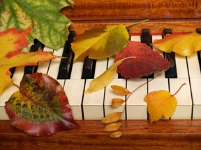 Autumn music tickles the ivories. Photo by fotolia.com.