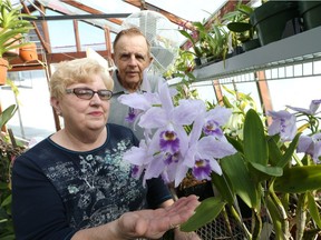 Juliette and Albert St. Pierre with orchids grown at their home.