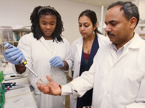 The biochemistry department at the University of Windsor is studying dandelion root extract which may be effective in killing leukemia cells while leaving normal cells healthy.  Dr. Siyaram Pandey overseas students Pamela Ovadje (L) and Sudipa Chatterjee add dandelion extract to leukemia cells in this file photo.