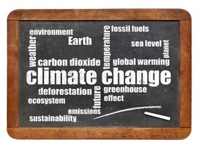Climate change word cloud on a vintage slate blackboard. Image by fotolia.com.