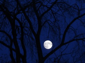 A full moon is seen over Windsor on Tuesday, Nov. 24, 2015.