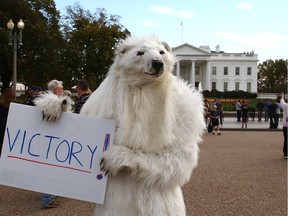 WASHINGTON, DC - NOVEMBER 06: Dressed as a Polar Bear climate control activist Catherine Kilduff from the Center for Biological Diversity holds a victory sign after after President Obama announced that he would reject the Keystone XL Pipeline proposal, at the White House November 6, 2015 in Washington, DC. ObamaÊcited concerns about the impact on the environment that would not serve the interests of the United States.