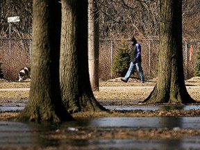 A man takes his dog for a walk in Optimist Park on a sunny day in March 2007.