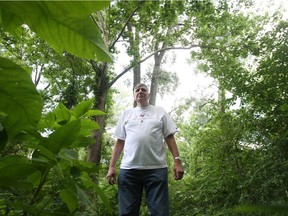 Retired teacher and Windsor environmentalist Tom Henderson, who is chairman, public advisory council of Detroit Canadian Cleanup,  walks near the Ojibway Shores forest in west Windsor on June 27, 2013.