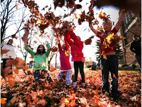 Children play in leaves while enjoying a cool autumn day along Giles Avenue in in Windsor, Ontario on November 9, 2015.