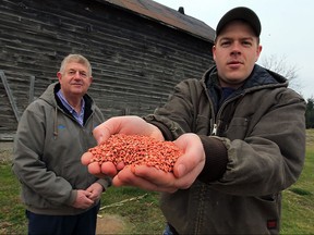 Award-winning farmers Neal Huber, right, and his father, Don Huber, at their Harrow area farm Dec. 8, 2015.  In the past, the innovative Hubers have used a helicopter to spread a cover crop.
