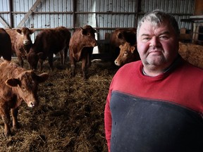 Farmer Harold Wagner of Wagner Orchards and Estate Winery with some of his Limousin cattle herd, known for a higher meat yield, Dec. 16, 2015. (