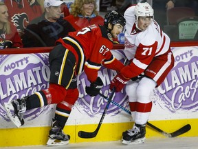 Detroit Red Wings' Dylan Larkin, right, ties up Calgary Flames' Michael Frolik, from the Czech Republic, during second period NHL hockey action in Calgary, Friday, Oct. 23, 2015.THE CANADIAN PRESS/Jeff McIntosh