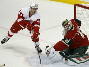 Minnesota Wild goalie Devan Dubnyk (40) scoops up a shot by Detroit Red Wings center Darren Helm (43) during the first period of an NHL hockey game in St. Paul, Minn., Monday, Dec. 28, 2015. (AP Photo/Ann Heisenfelt)