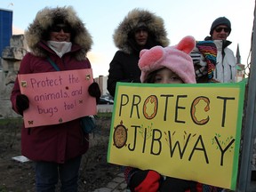 In this file photo, Danah Seguin-Beaudoin, 6, right, was joined by over 200 in support of Save Ojibway at City Hall for a rally Jan. 4, 2016.