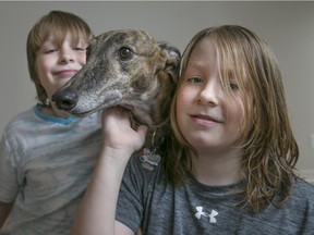 Twin brothers, Colin, left, and Brendan Fox, 12, are pictured with Bandit, a rescued racing Greyhound at their home in Amherstburg, Saturday, Nov. 28, 2015.