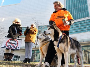 A group of protesters gathered in front of the Provincial Court on Wednesday, January 6, 2016, as dog abuser Michael Hill made a court appearance. Dean Cresswell and his two Huskies, who found Justice participated in the demonstration. Hill's case was put over until January 11, 2016. (DAN JANISSE/The Windsor Star)