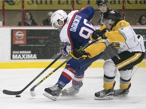 Windsor's Cristiano DiGiacinto is unable to capitalize on a a breakaway while being defended by Sarnia's Jeff King during OHL action between the Windsor Spitfires and the Sarnia Sting at the WFCU Centre, Sunday, Jan. 31, 2016.