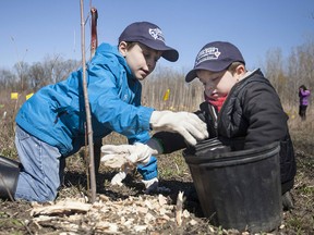 Joey Taylor, 8, and his brother, Lucas Taylor, 4, help plant trees in east Windsor in this 2015 file photo.