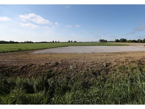 WINDSOR, ONTARIO - JULY 15, 2015 - Site of the new mega-hospital to be built on County Rd 42 at the Ninth Concession in Windsor, Ontario.  (JASON KRYK/The Windsor Star)