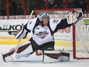 Spitfires' rookie goaltender Michael DiPietro is 12-3-1-0 with a 2.21 goals-against average and .924 save percentage.