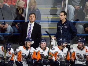 Flint Firedbirds coach John Gruden, back left, looks up at the scoreboard during the second period against the Sarnia Sting in a minor league hockey game, Friday, Nov. 13, 2015 at Dort Federal Event Center in Flint, Mich. The Ontario Hockey League suspended Flint Firebirds owner Rolf Nilsen on Thursday, a day after the team fired its coaching staff for the second time this season.