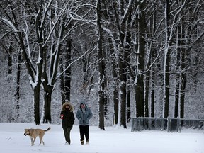 Amy Chamberlain, left, and Matt Hogan walk their dog Obiwan Kenobi at Memorial Park February 25, 2016. An overnight snowfall makes for a picture-perfect winter setting amongst the tall oaks at Memorial Park. (NICK BRANCACCIO/Windsor Star)