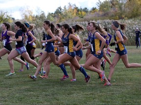 University of Windsor athletes run at Malden Mark in this October 2015 file photo.