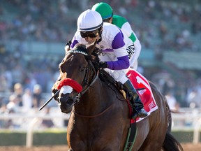 Nyquist and jockey Mario Gutierrez win the Grade II $200,000 San Vicente Stakes at Santa Anita Park, Arcadia, Calif., Monday, Feb. 15, 2016.