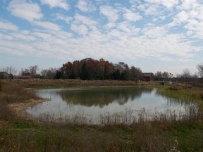 A wetland created in 2015 is pictured in this handout photo.
