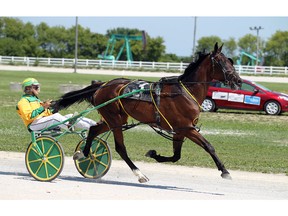 WINDSOR, ON. AUGUST 16, 2015. -- Drivers warm up their horses during harness racing action in Leamington on Sunday, August 16, 2015.                          (TYLER BROWNBRIDGE/The Windsor Star)