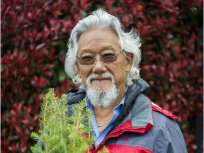 VANCOUVER, BC: March 21, 2016 -- Renowned environmentalist and TV personality David Suzuki holds a bundle of sitka spruce seedlings. Suzuki spoke to The Vancouver Sun at the David Suzuki Foundation offices in Vancouver, B.C. Monday March 21, 2016. He turned 80 years old on March 24, 2016.  (photo by Ric Ernst / PNG)