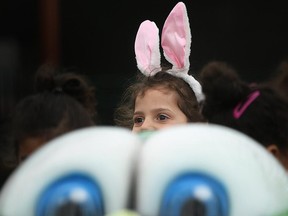 A bunny-eared participant of the Easter egg hunt at Colasanti's Tropical Gardens in Kingsville, 2014.