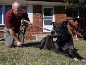 Patrick Quinn and his dog Brutus prepare to take a walk in their Essex neighbourhood. Quinn credits Brutus for saving his life. (NICK BRANCACCIO)