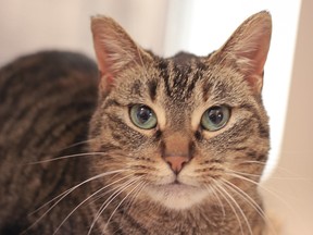 Fritz is an adorable girl who loves to talk to her friends.