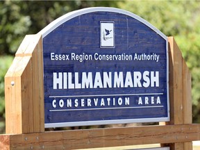 Hillman Marsh Conservation Area is pictured in this file photo.