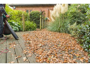 Leaves are vacuumed to tidy up a garden. Photo by fotolia.com.