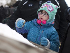 A young girl winds up taffy with snow at the John R. Park Homestead's Maple Syrup Festival, Sunday, March 6, 2016.