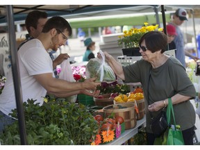 In this file photo, Carol Van Wissen buys fresh produce from Bouchard Gardens on the first day of the Downtown Farmer's Market, Saturday, May 30, 2015.  (DAX MELMER/The Windsor Star)