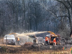 WINDSOR, ON. MARCH 30, 2016. A crew working for Union Gas cuts down large trees on the former Windsor Raceway land near the Ojibway Park on Wednesday, March 30, 2016, in Windsor, ON. Company officials said it was regular line maintenance. (DAN JANISSE / Windsor Star) (For story by Dave Battagello)