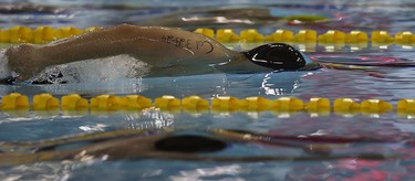 Aaron Norg competes in the OFSAA Swimming finals at Windsor International Aquatic and Training Centre in Windsor on Wednesday, March 9, 2016.