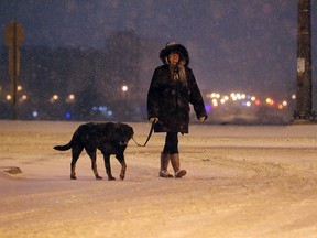 A woman braves the blowing snow to take her dog for a walk in Windsor on Tuesday, March 1, 2016. Snow will continue to fall through the night.