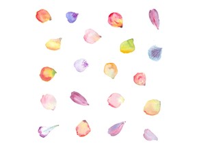 Watercolour flower petals. Image by fotolia.com.